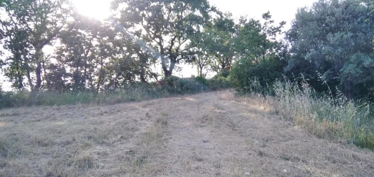 Country house with garden  in Casalbordino, Abruzzo region · foto 15