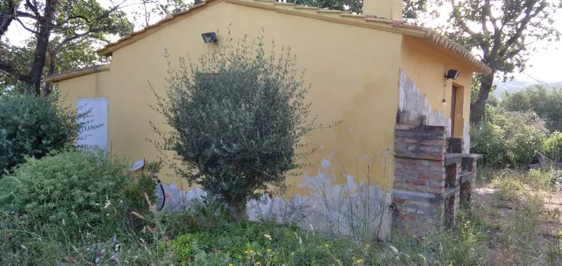 Country house with garden  in Casalbordino, Abruzzo region · foto 4