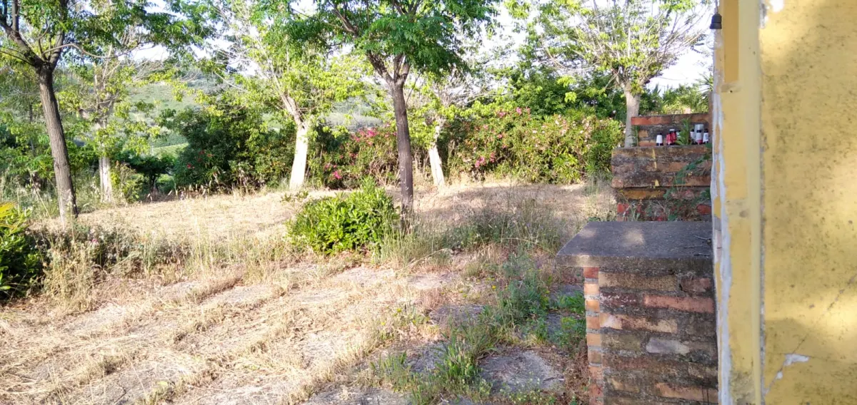 Country house with garden  in Casalbordino, Abruzzo region · foto 8