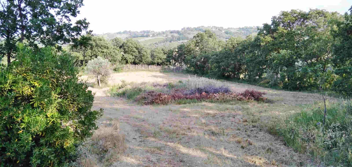 Country house with garden  in Casalbordino, Abruzzo region · foto 9