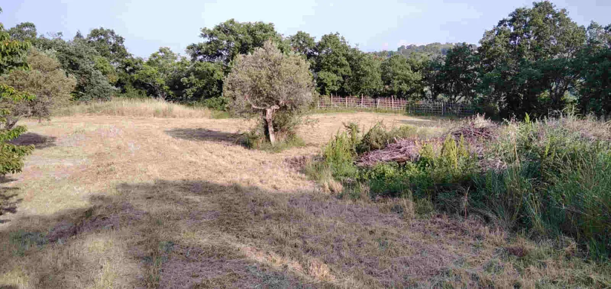 Country house with garden  in Casalbordino, Abruzzo region · foto 10