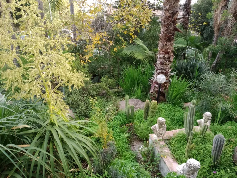Terreno Edificabile · foto 3