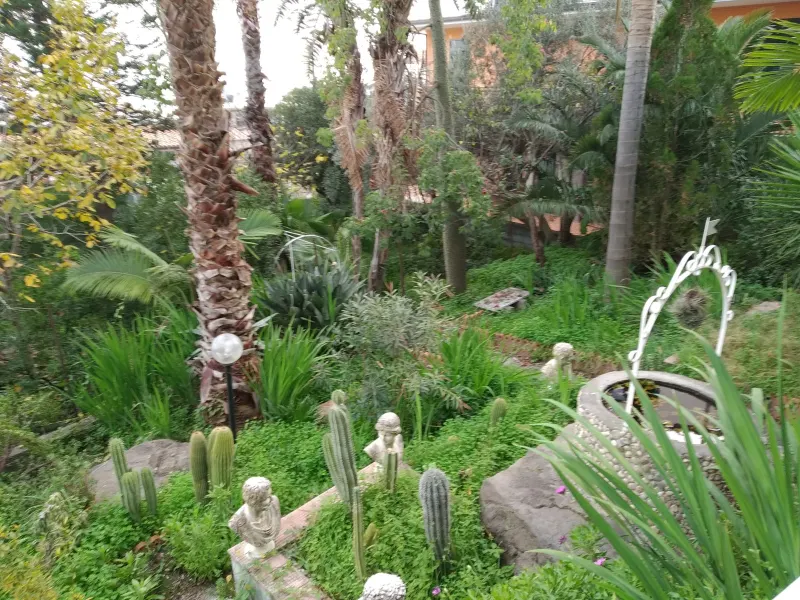 Terreno Edificabile · foto 4