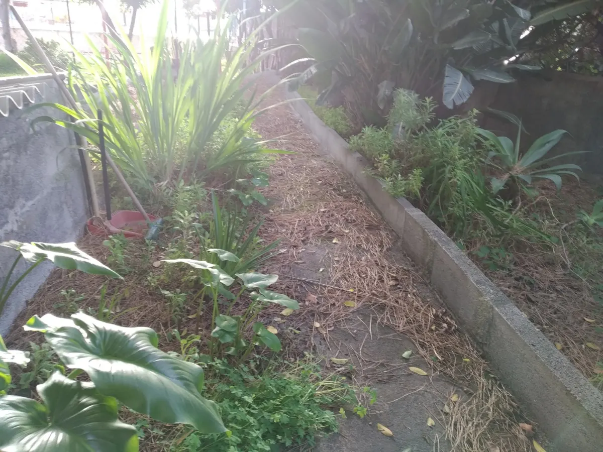 Terreno Edificabile · foto 9