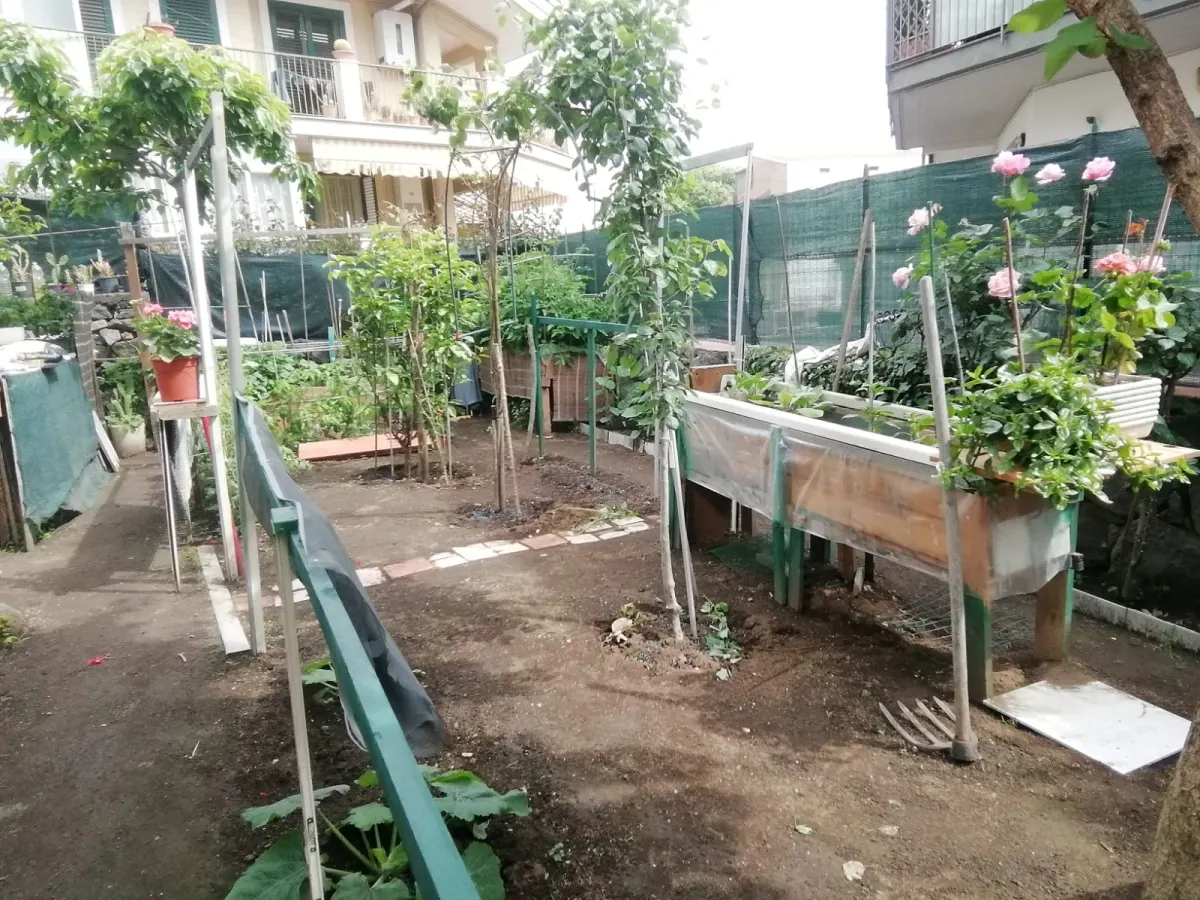Trivani, Terrazzo, Giardini, Garage · foto 14