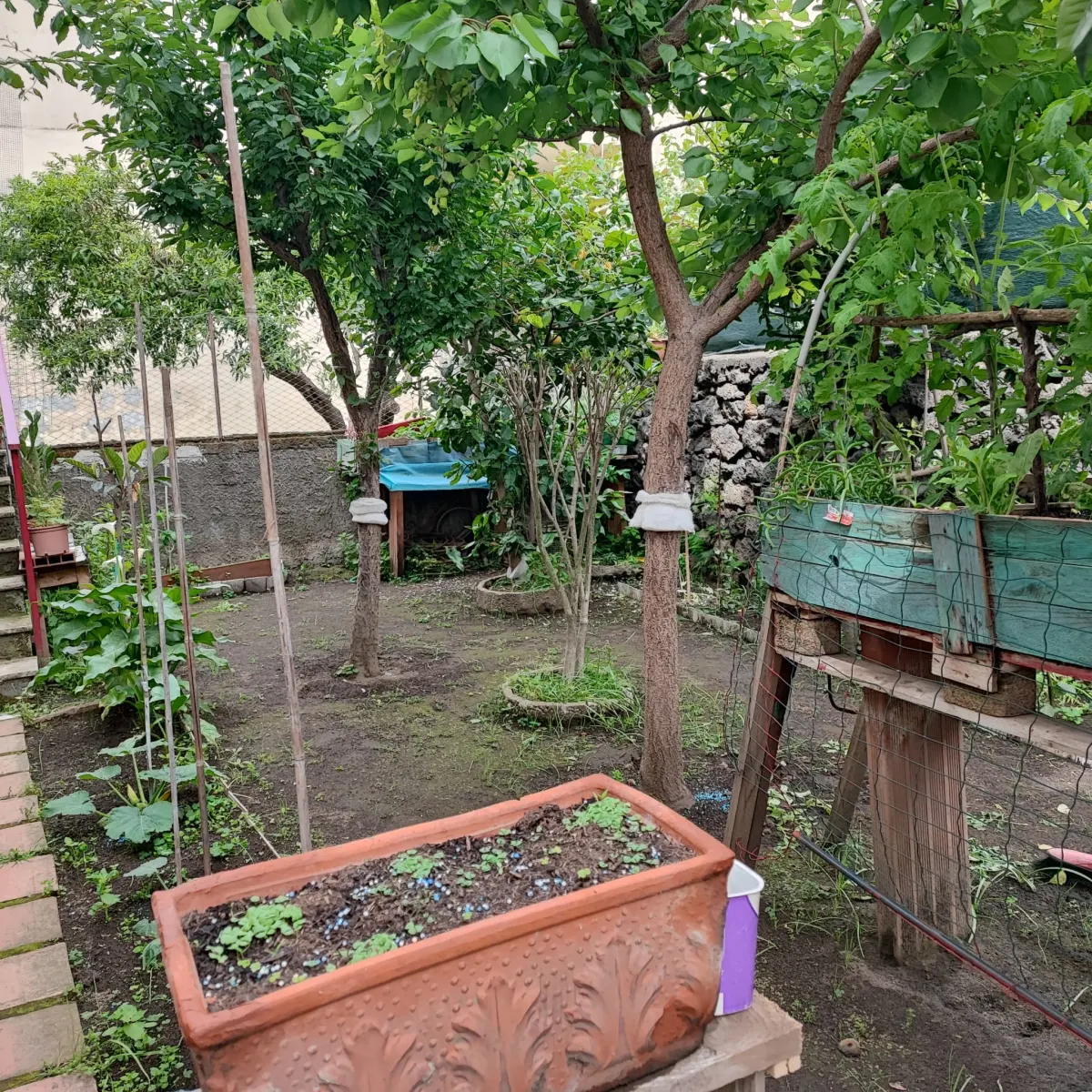 Trivani, Terrazzo, Giardini, Garage · foto 10