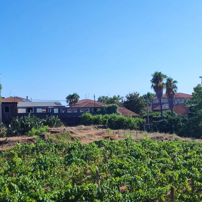 Terreno Agricolo  pianeggiante · foto 2