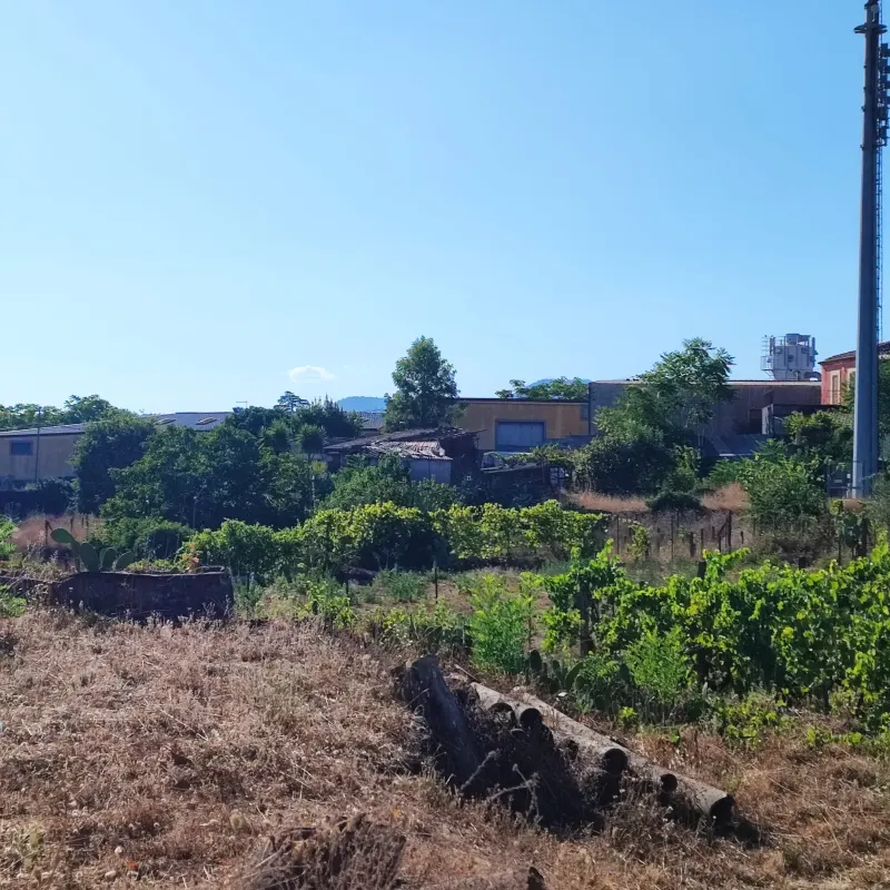 Terreno Agricolo  pianeggiante · foto 4