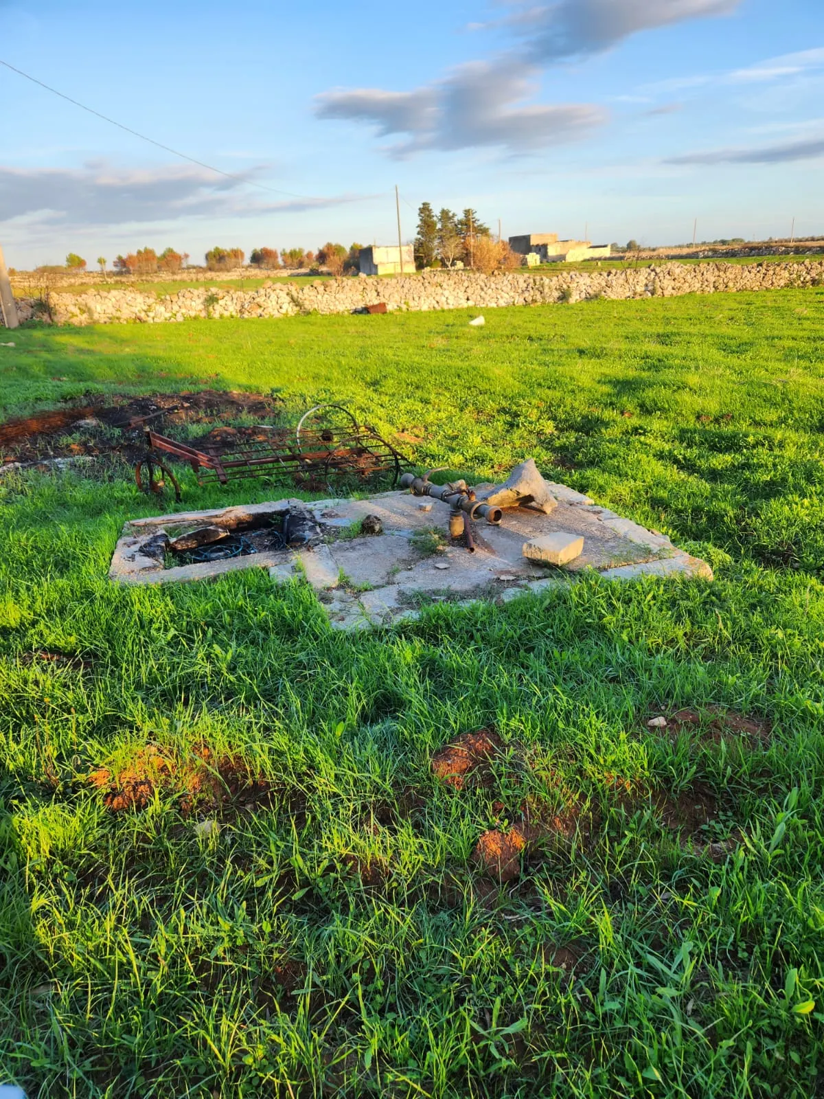 Terreno in Vendita a Zollino con Uliveto e Deposito · foto 1