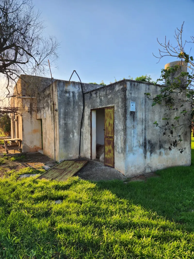 Terreno in Vendita a Zollino con Uliveto e Deposito · foto 3