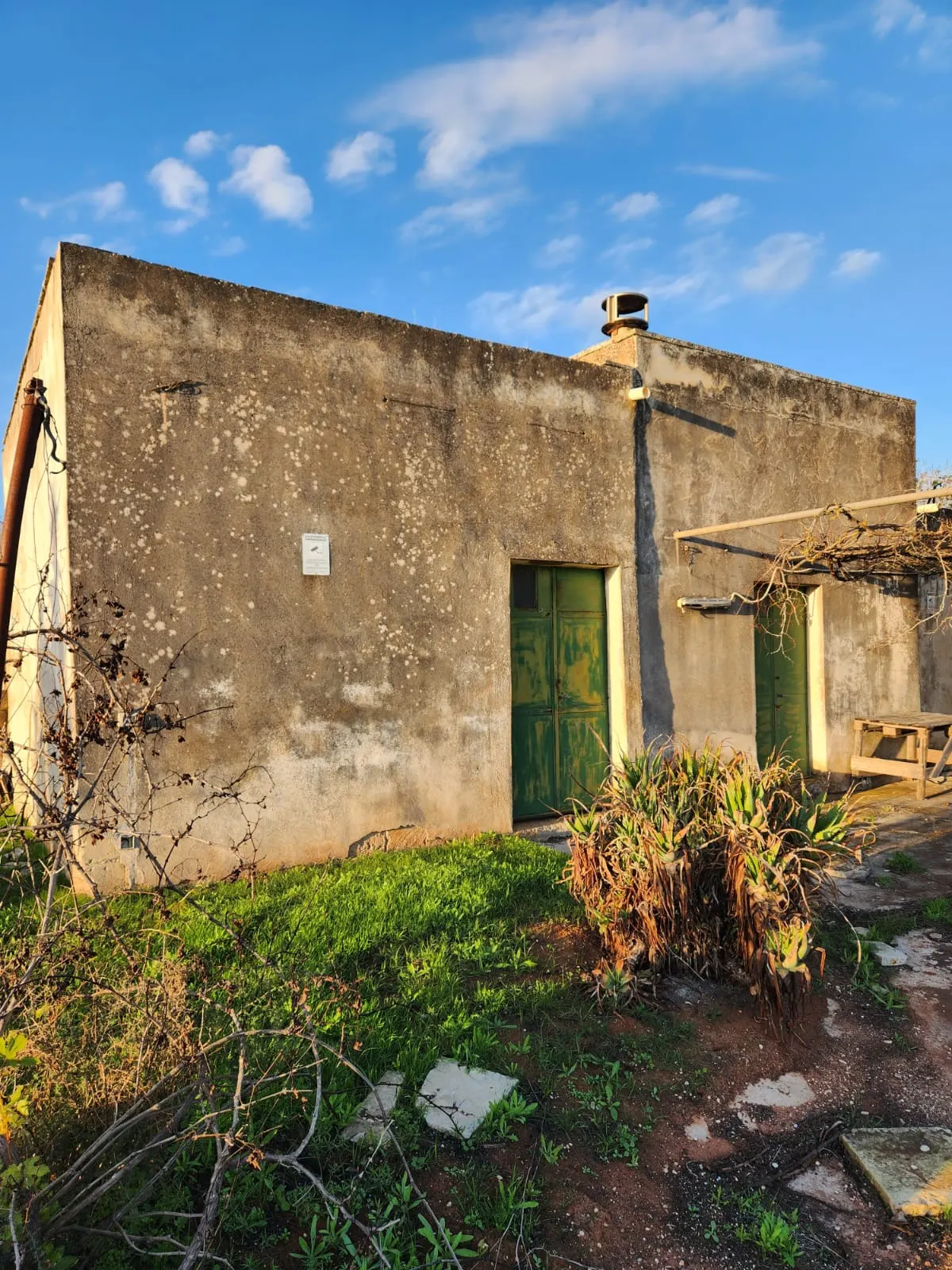 Terreno in Vendita a Zollino con Uliveto e Deposito · foto 6