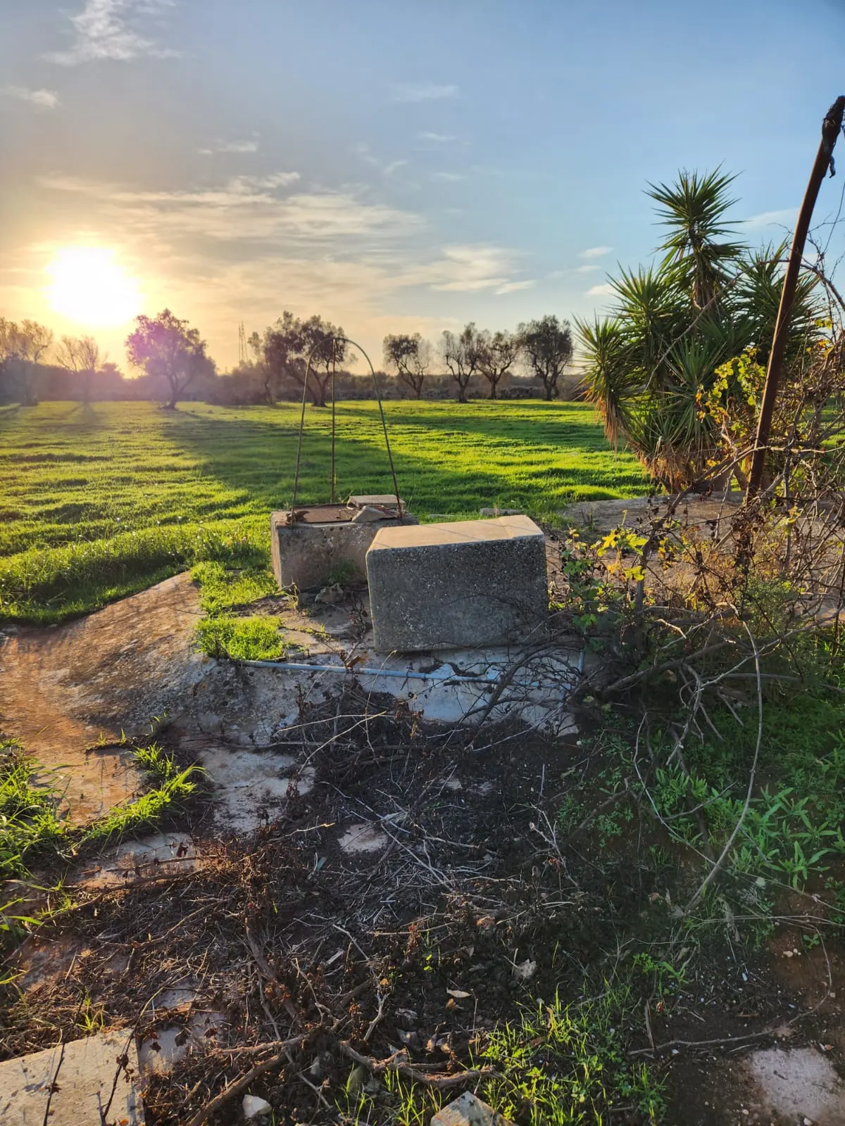 Terreno in Vendita a Zollino con Uliveto e Deposito · foto 7
