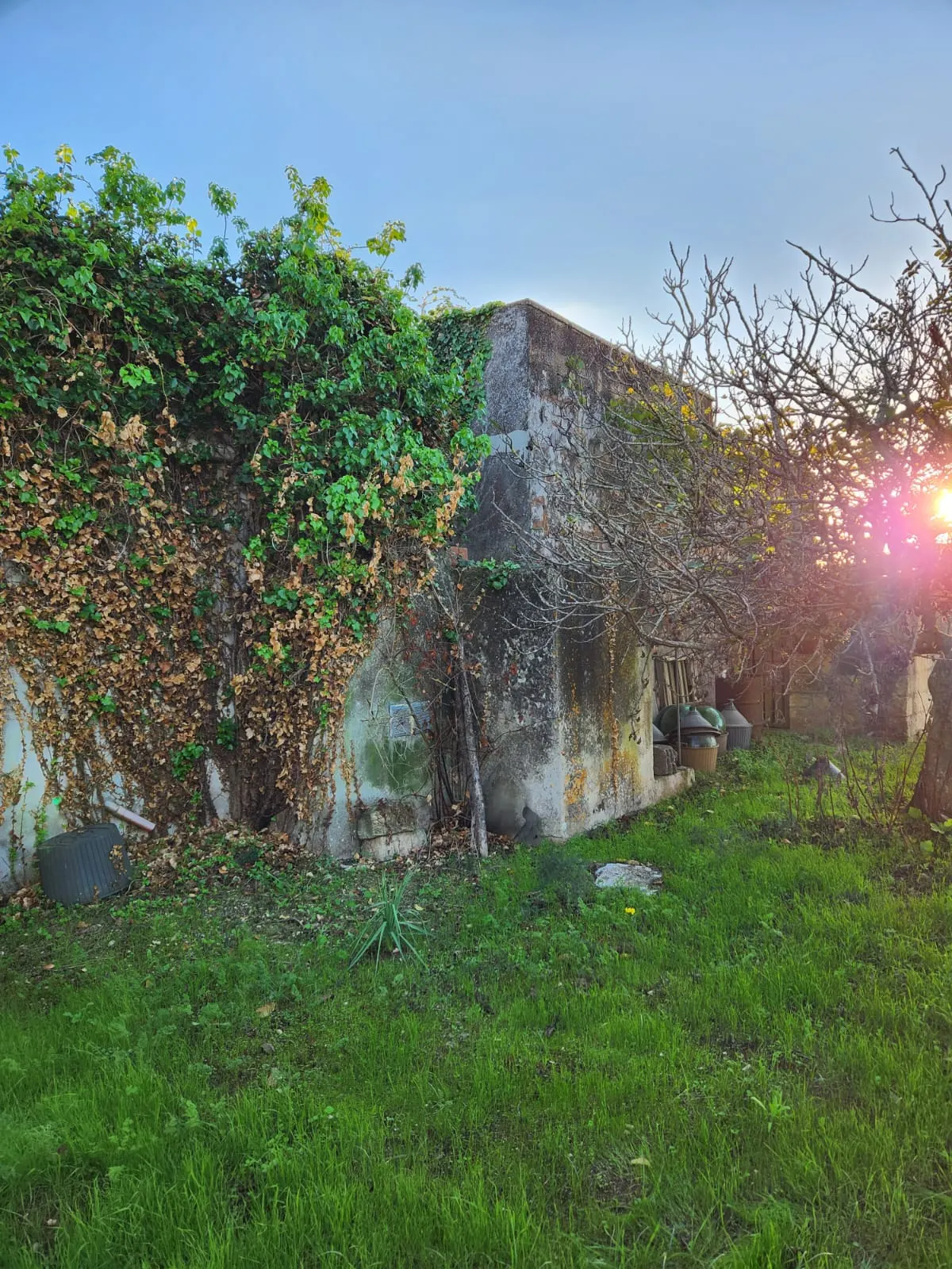 Terreno in Vendita a Zollino con Uliveto e Deposito · foto 10