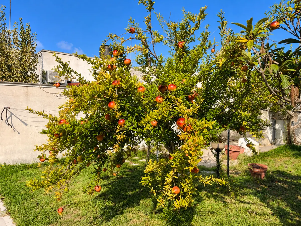 Villetta Esclusiva a San Foca · foto 15