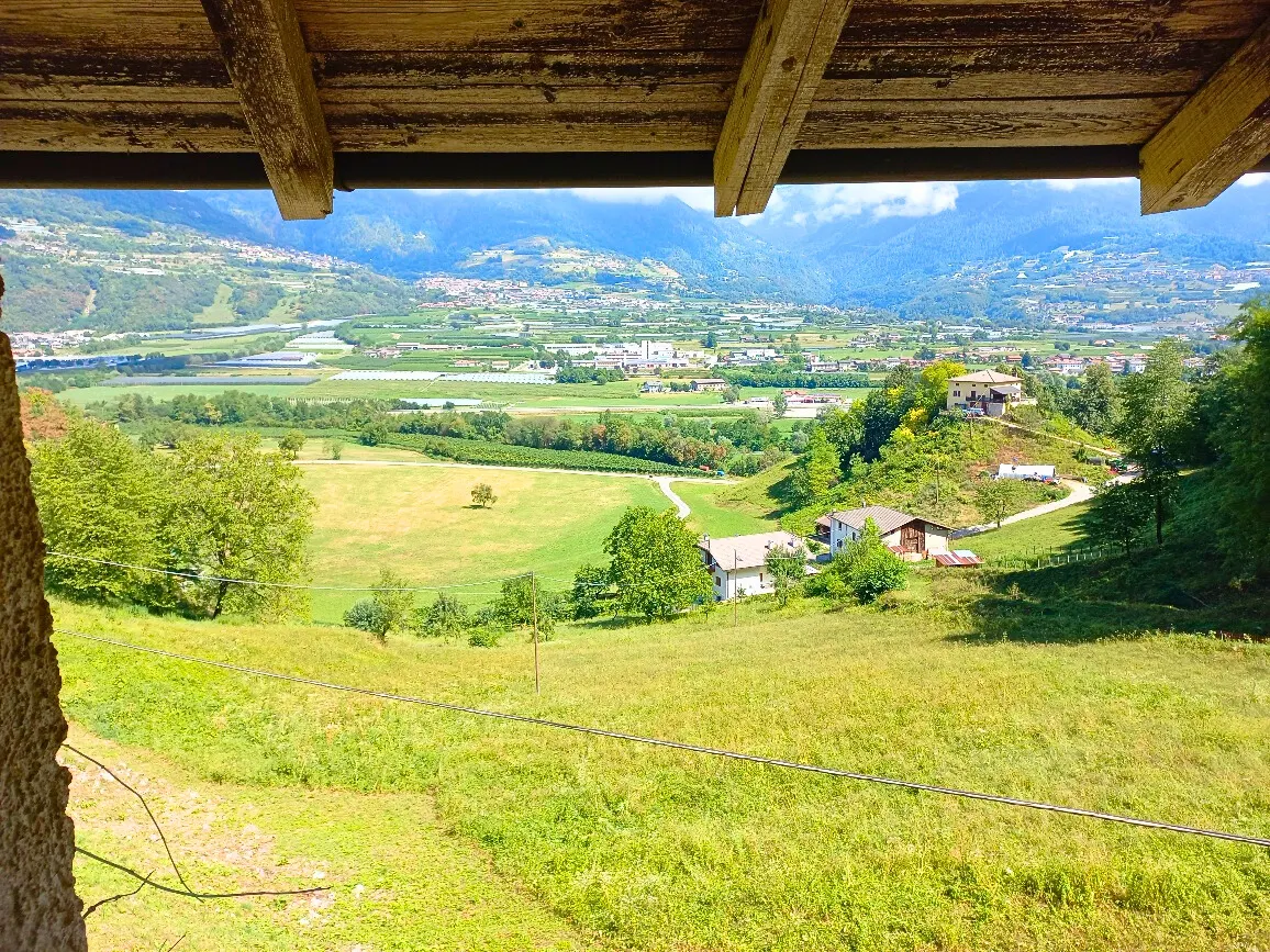 AMPIO MASO CON TERRENO · foto 19