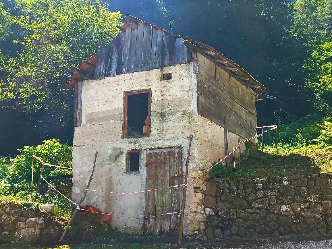AMPIO MASO CON TERRENO · foto 27