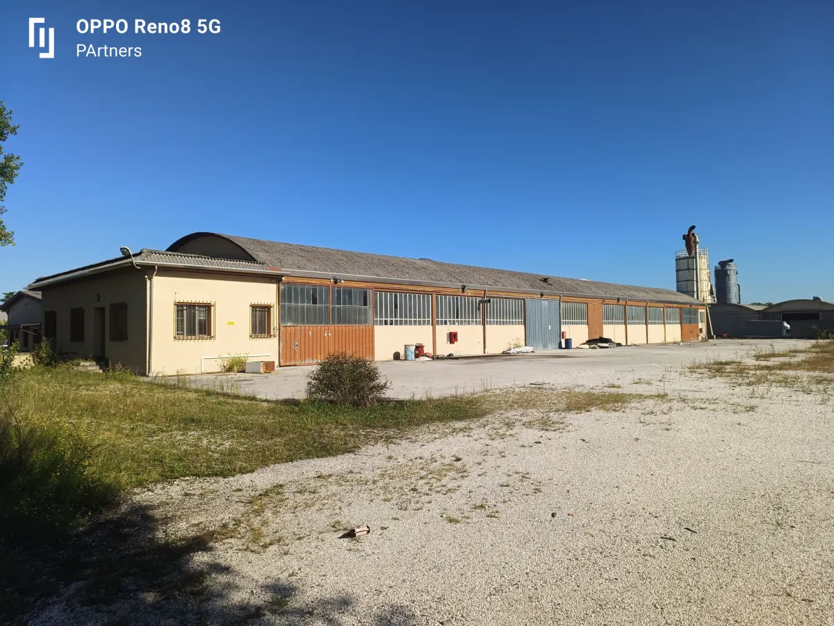 capannone industriale · foto 1
