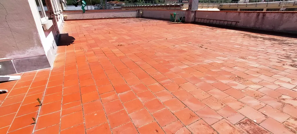 Capannone con piazzale e appartamento · foto 6