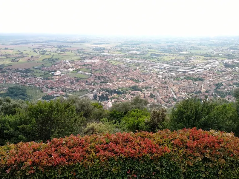 Ristorante con terrazza panoramioca · foto 5
