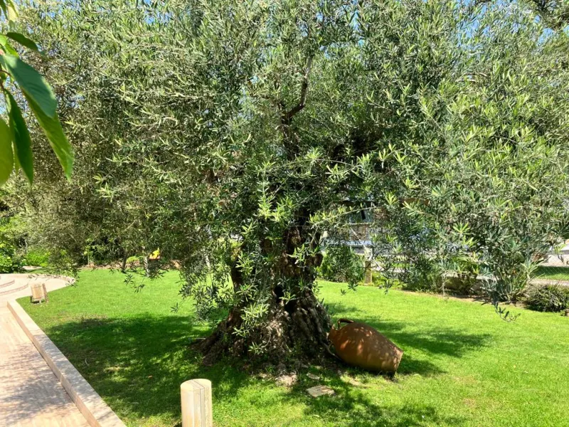 Latina, lottizzazione Cucchiarelli, rifinita VILLA · foto 3