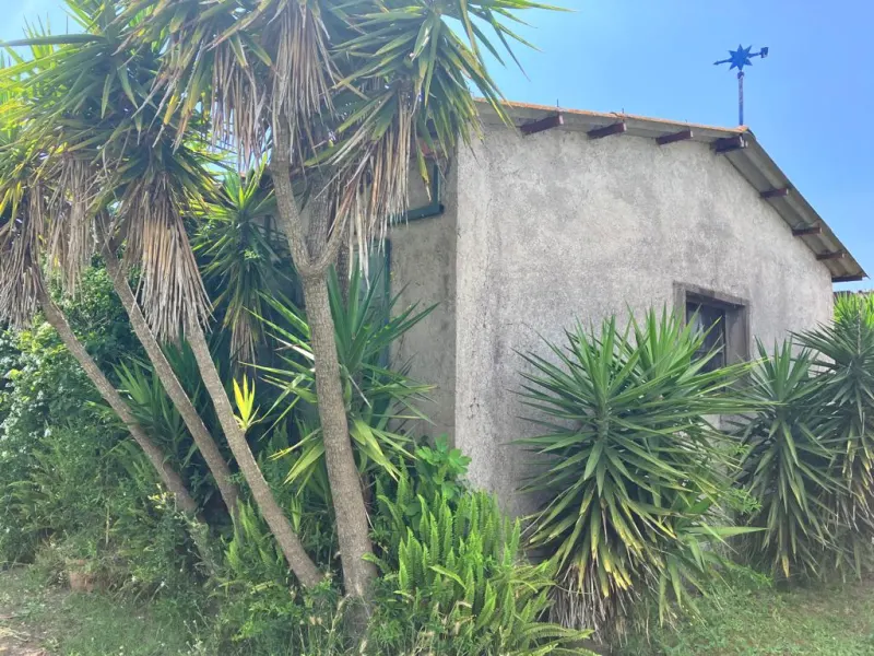 Latina, in zona Borgo Grappa / Fogliano ampio capannone uso · foto 5
