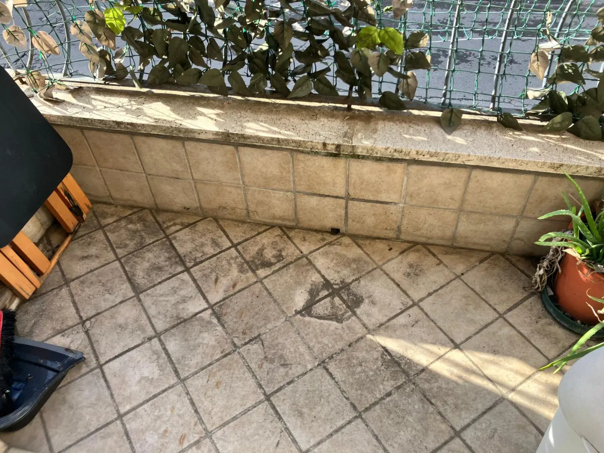 Latina centro appartamento in ottimo stato · foto 8