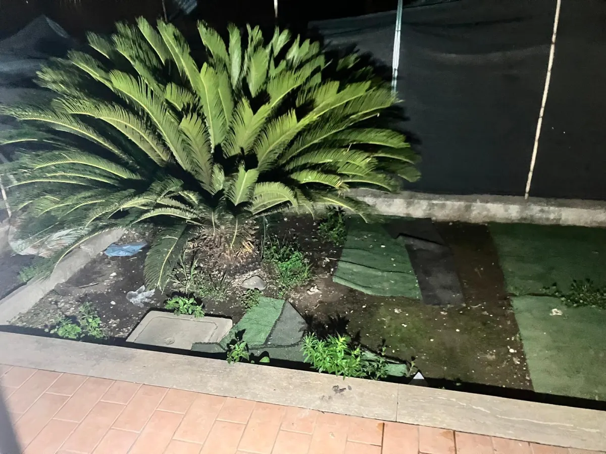 Bilocale con GIARDINO - ARREDATO · foto 8