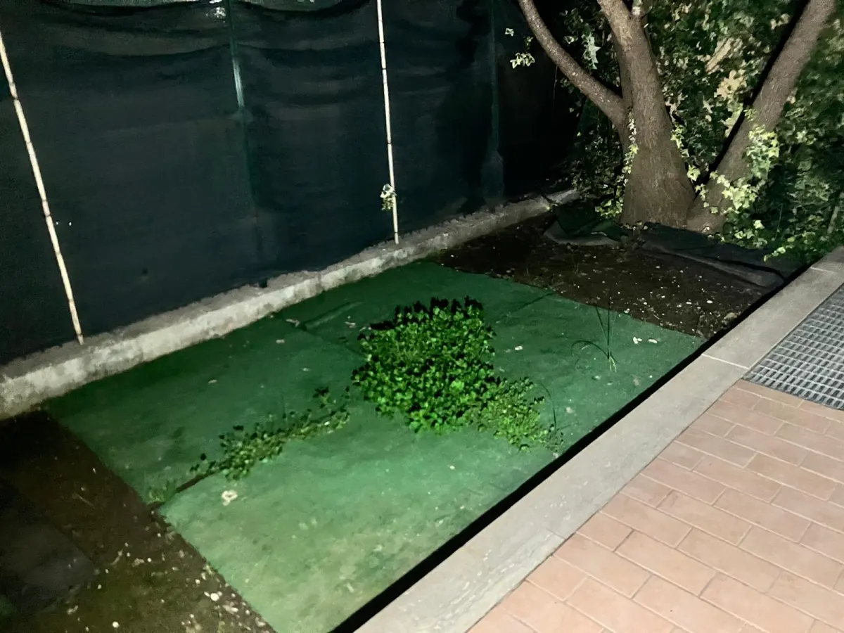 Bilocale con GIARDINO - ARREDATO · foto 9