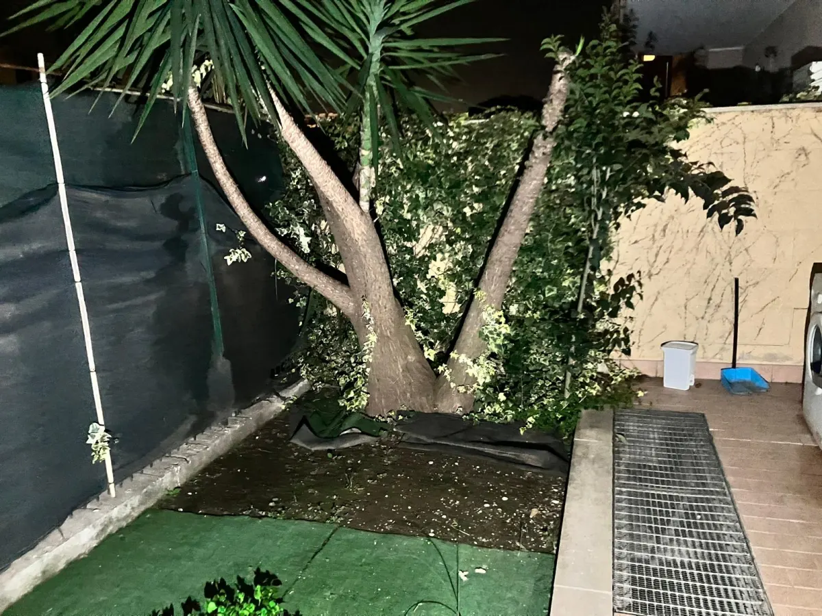 Bilocale con GIARDINO - ARREDATO · foto 10