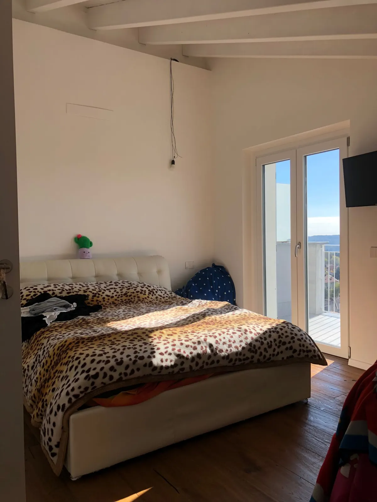 panoramico e luminoso appartamento · foto 36
