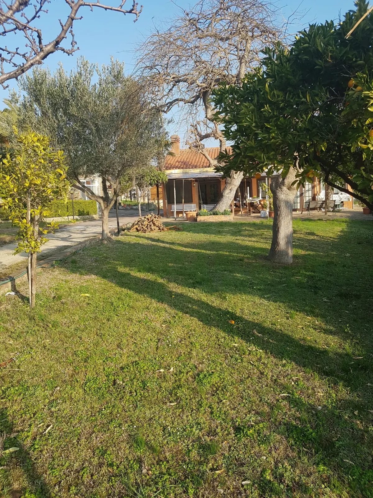 VILLETTA BIFAMILIARE CON GIARDINO A POCHI PASSI DAL MARE · foto 6