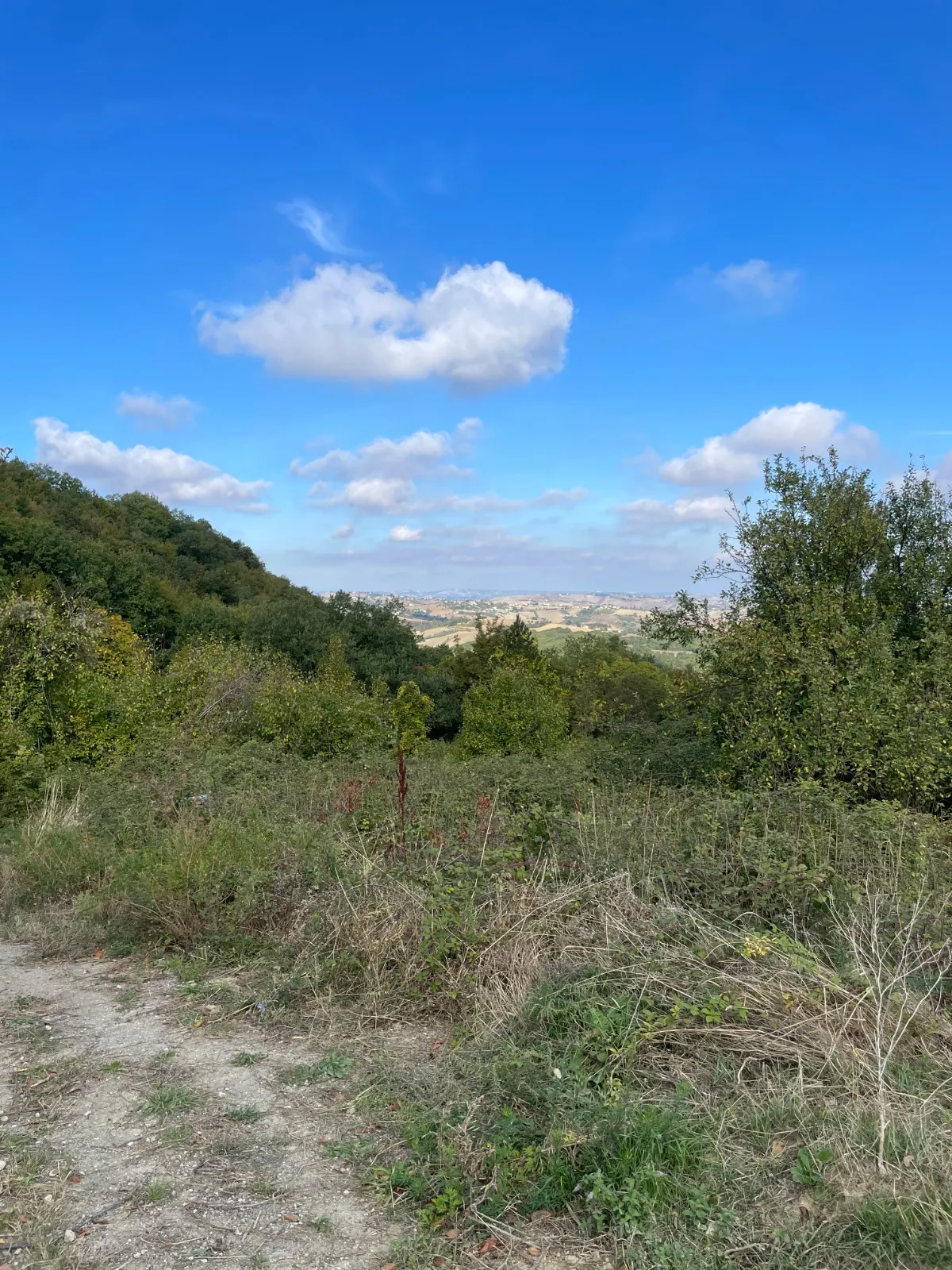 TERRENO EDIFICABILE A GISSI · foto 13