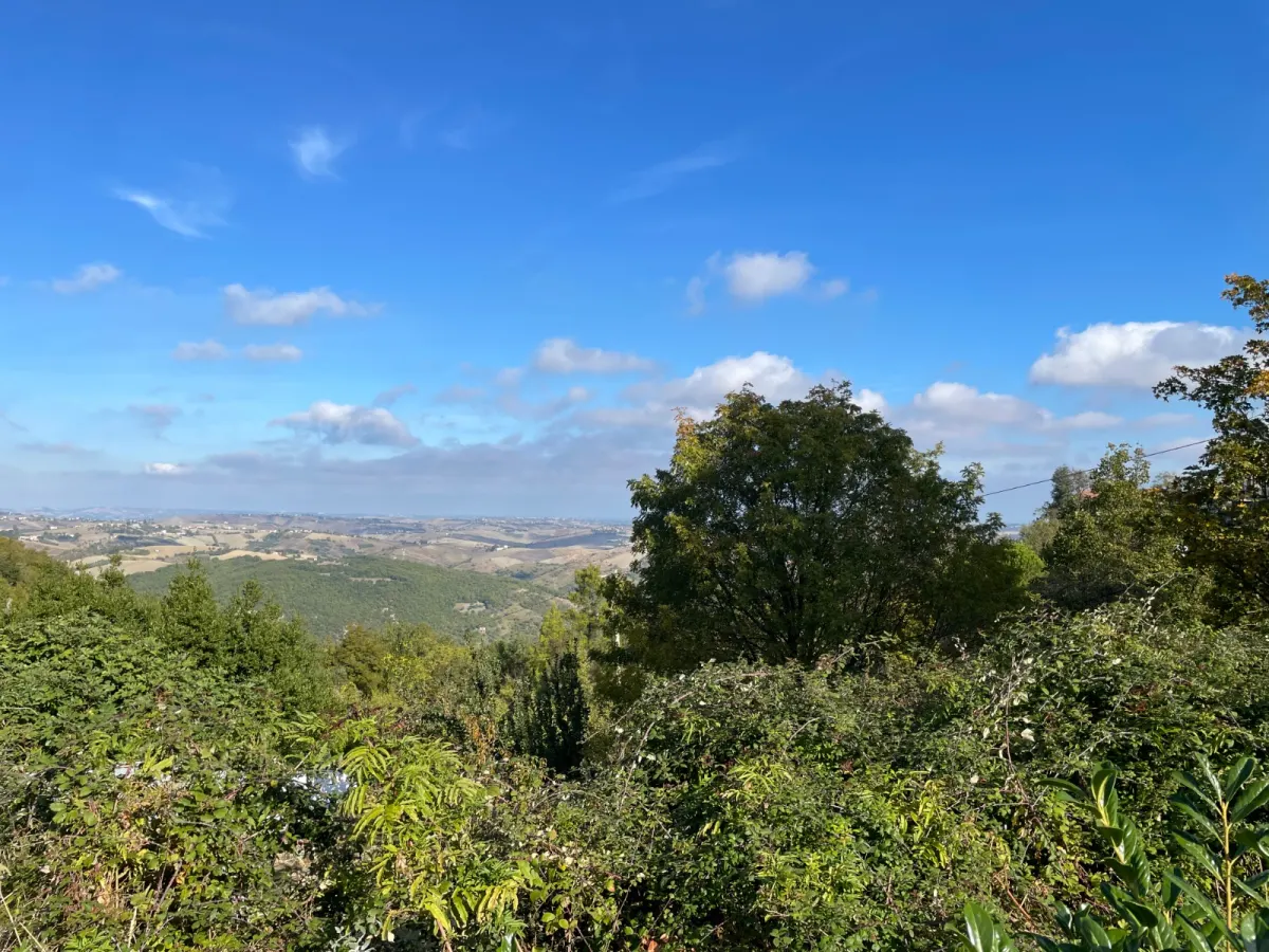 TERRENO EDIFICABILE A GISSI · foto 15