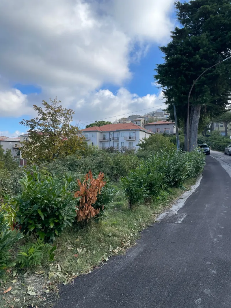 TERRENO EDIFICABILE A GISSI · foto 4
