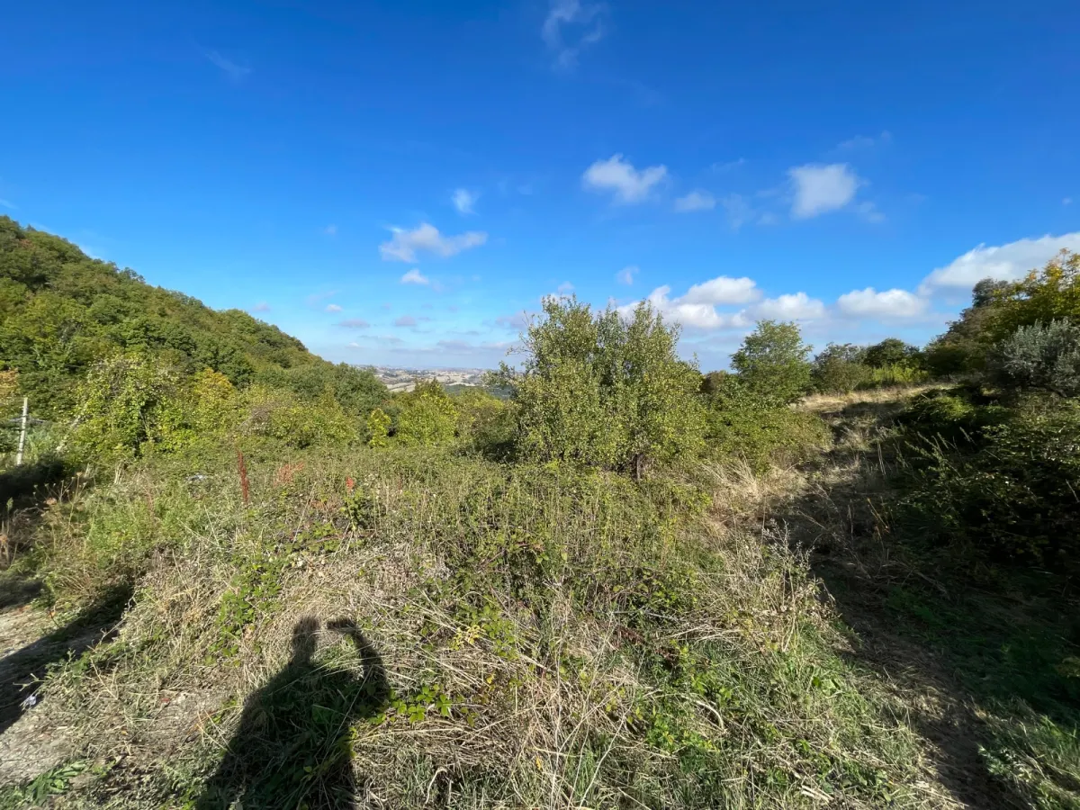 TERRENO EDIFICABILE A GISSI · foto 6