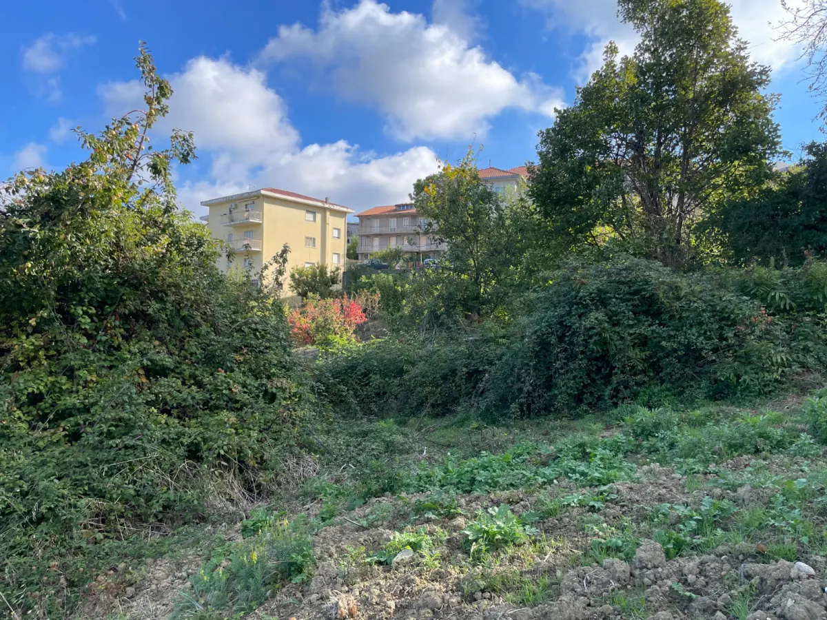TERRENO EDIFICABILE A GISSI · foto 7