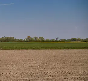 Terreno agricolo a Riva del Po (FE) · foto 1