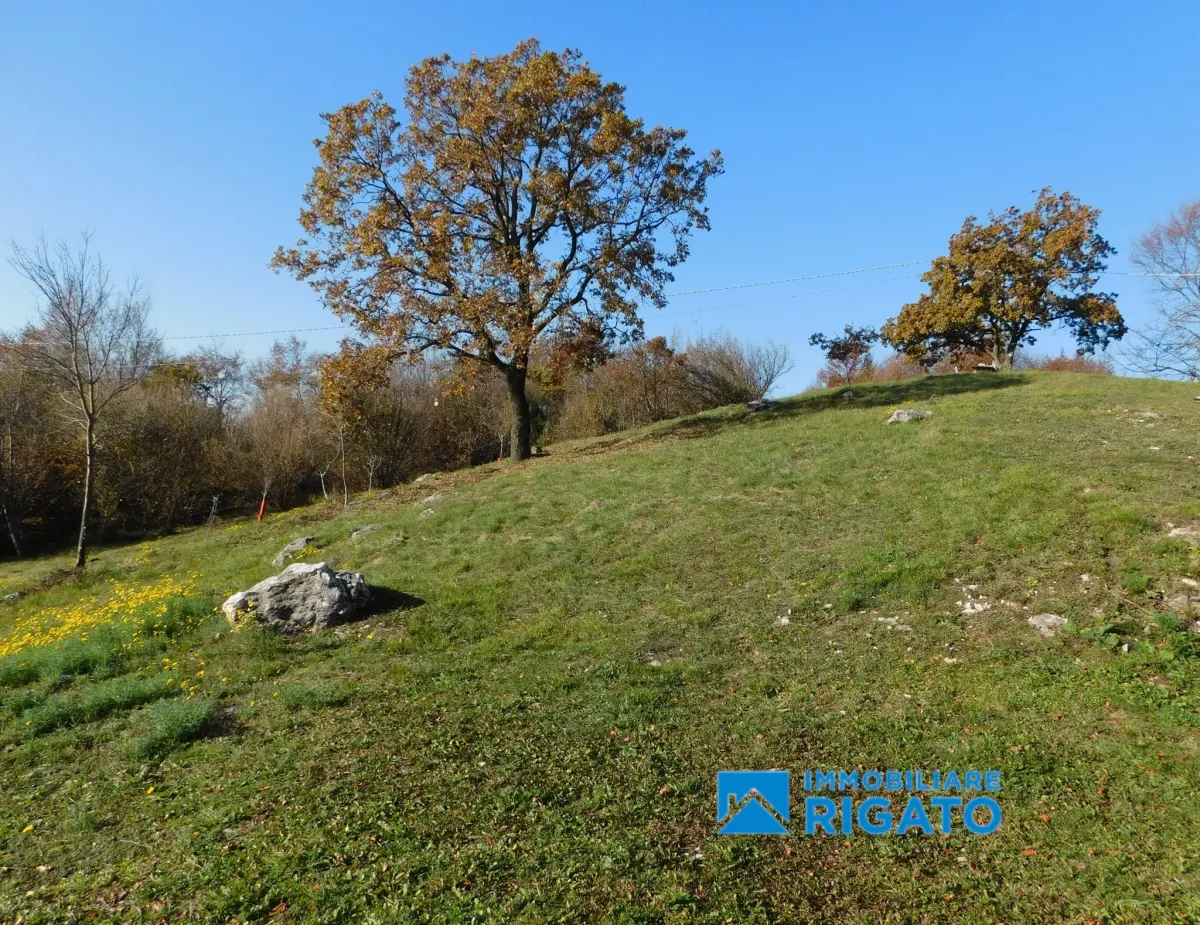 Casa di montagna a Borso del Grappa · foto 13