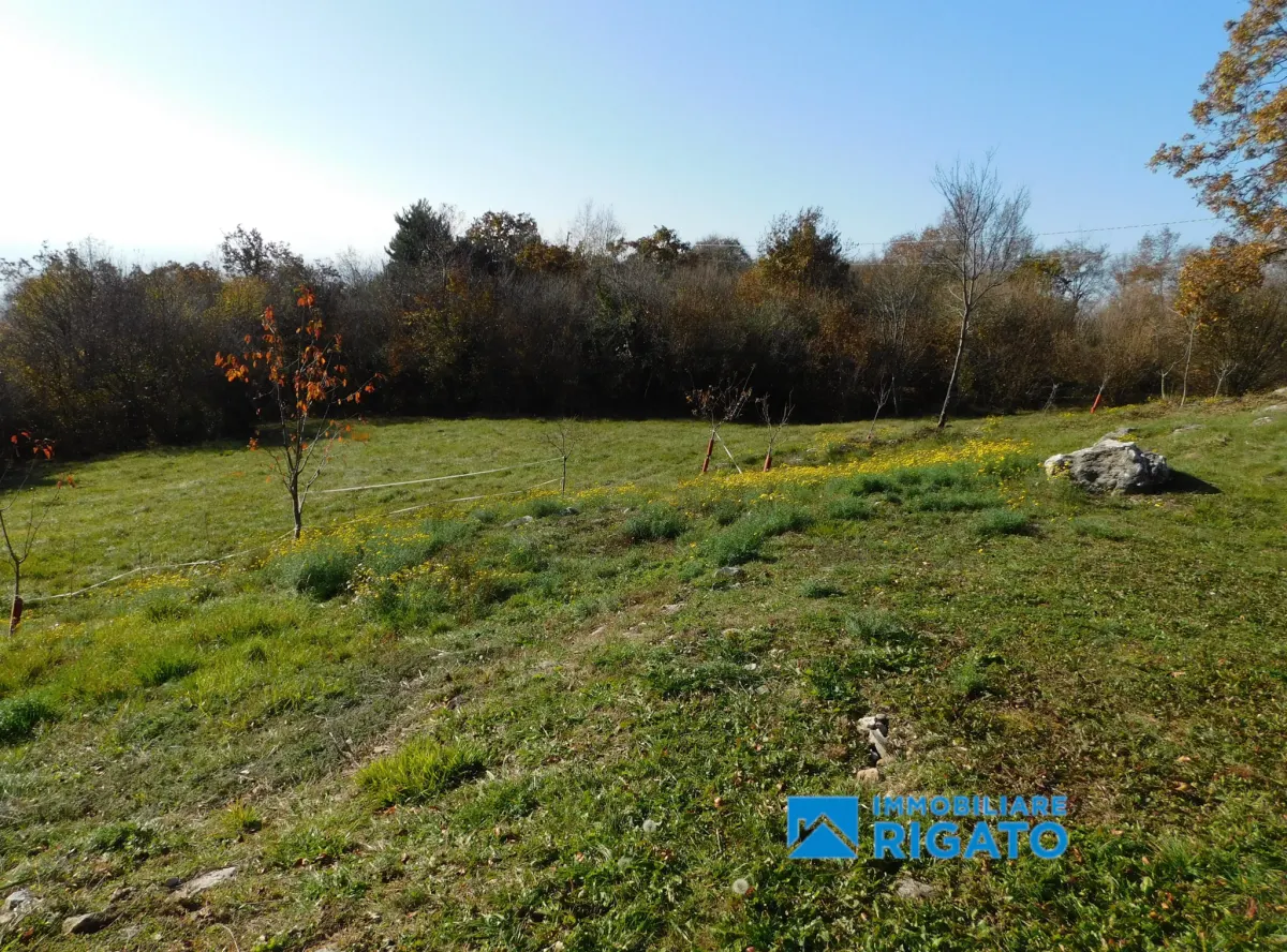 Casa di montagna a Borso del Grappa · foto 15