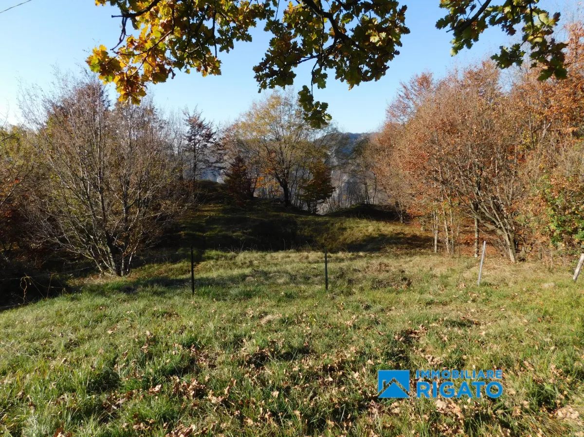 Casa di montagna a Borso del Grappa · foto 16