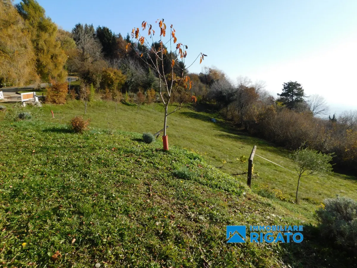 Casa di montagna a Borso del Grappa · foto 10
