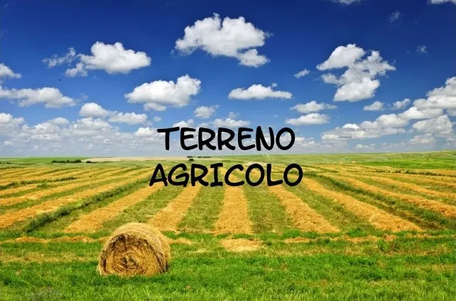 Terreno Agricolo a Borso del Grappa · foto 1
