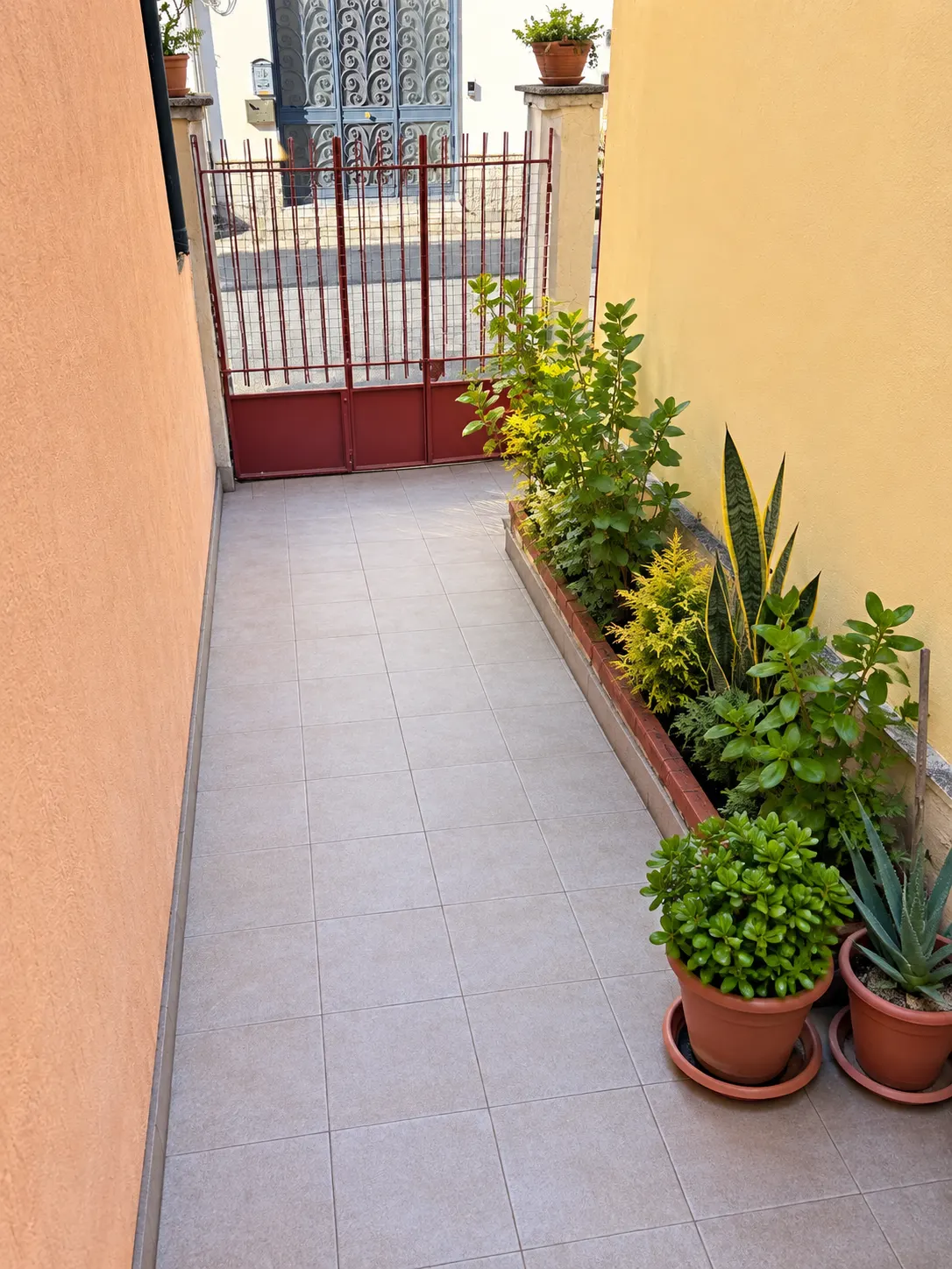 Gravina di Catania - Casa singola con terrazzo · foto 13