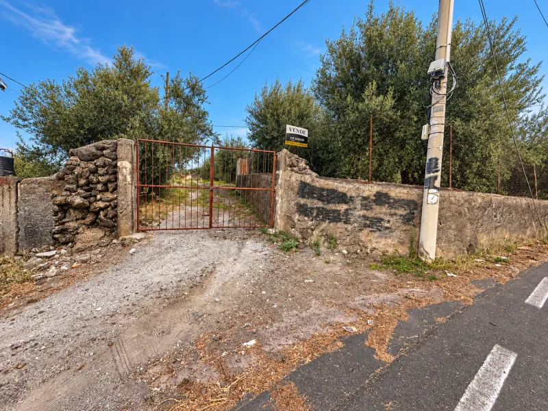 Adrano (Zona La Luna) – Terreno Uliveto mq 4.000 (Zona C1/E4) · foto 2