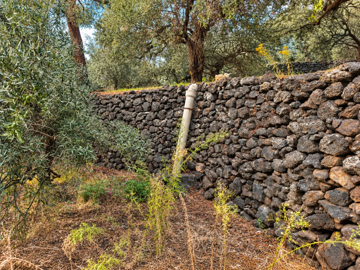 Adrano (Zona La Luna) – Terreno Uliveto mq 4.000 (Zona C1/E4) · foto 15