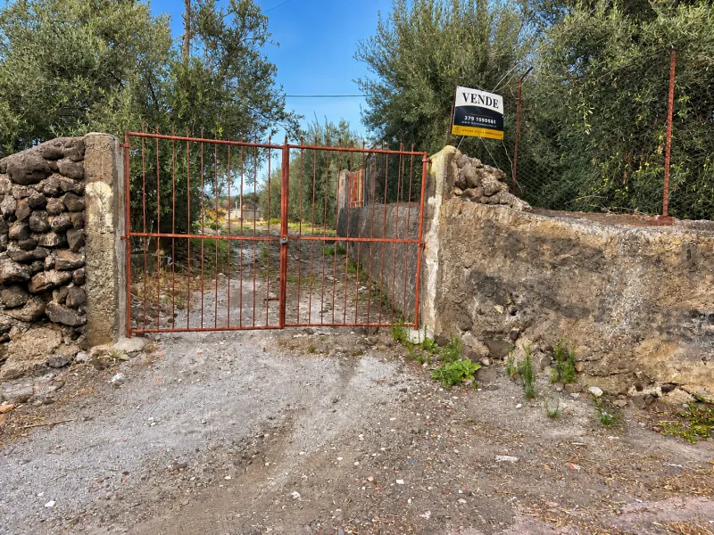 Adrano (Zona La Luna) – Terreno Uliveto mq 4.000 (Zona C1/E4) · foto 3