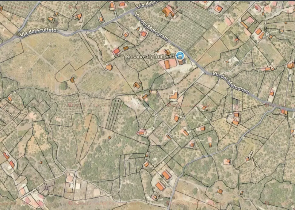 Adrano (Zona La Luna) – Terreno Uliveto mq 4.000 (Zona C1/E4) · foto 21