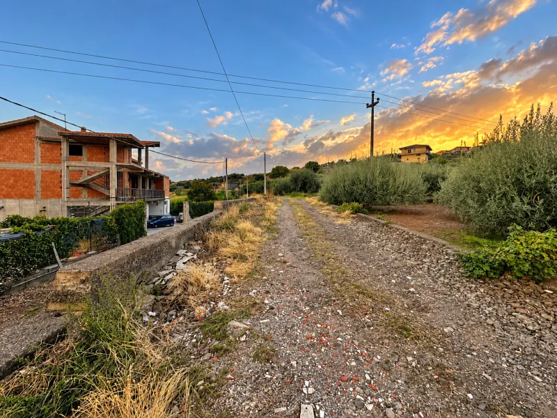 Adrano (Zona La Luna) – Terreno Uliveto mq 4.000 (Zona C1/E4) · foto 4