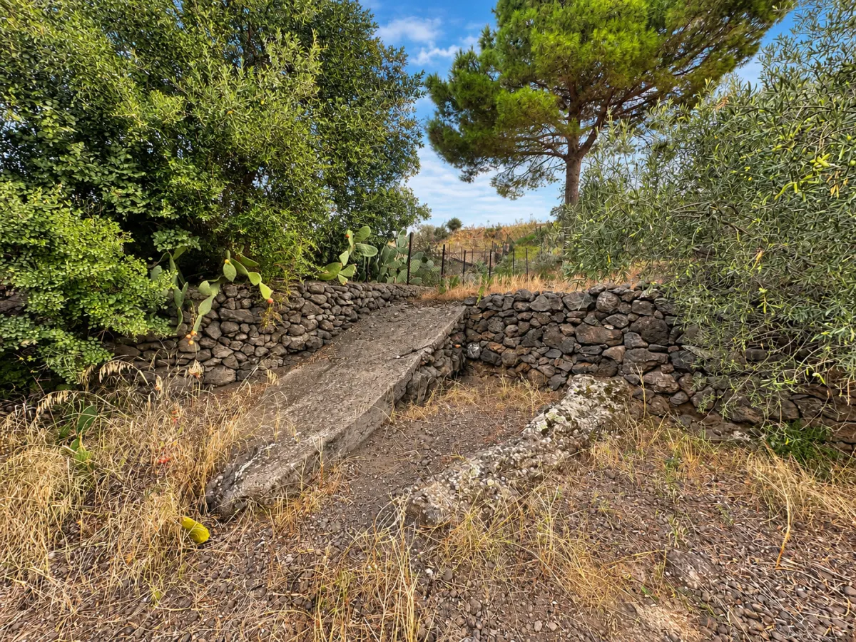 Adrano (Zona La Luna) – Terreno Uliveto mq 4.000 (Zona C1/E4) · foto 7