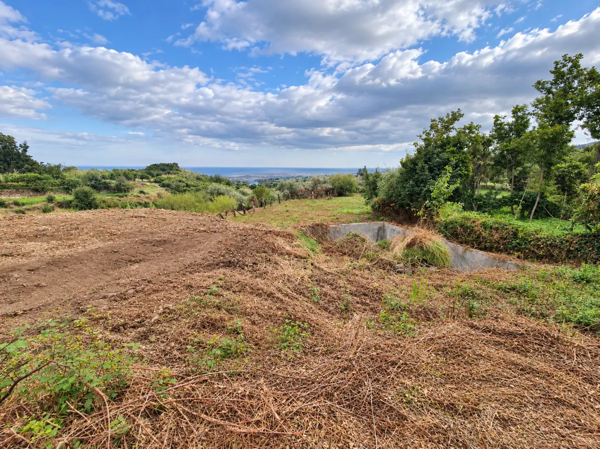 Terreno Panoramico di 7.100 mq con Rudere Catastato | Mascali – Zona Santa Venera · foto 15